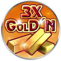 3x Gold'n